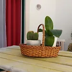 Prázdninový dům Casa Flor De Sal - Moradia No Centro De Faro! *