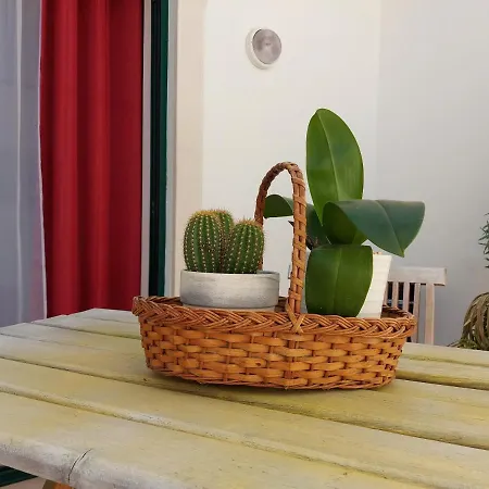 Сasa de vacaciones Casa Flor De Sal - Moradia No Centro De Faro! *