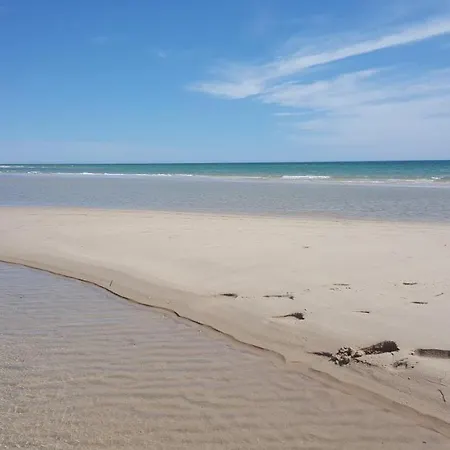 Casa Flor De Sal - Moradia No Centro De Faro! Semesterbostad Faro